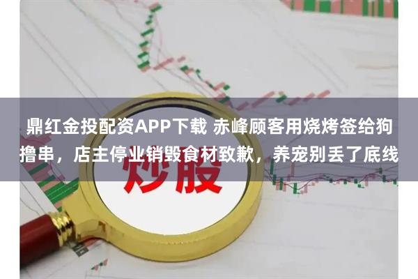 鼎红金投配资APP下载 赤峰顾客用烧烤签给狗撸串，店主停业销毁食材致歉，养宠别丢了底线